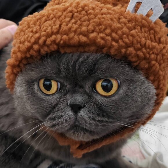 Meet your Posher, Hongjun - Picture 1 of 3